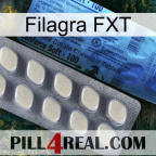 Filagra FXT 34